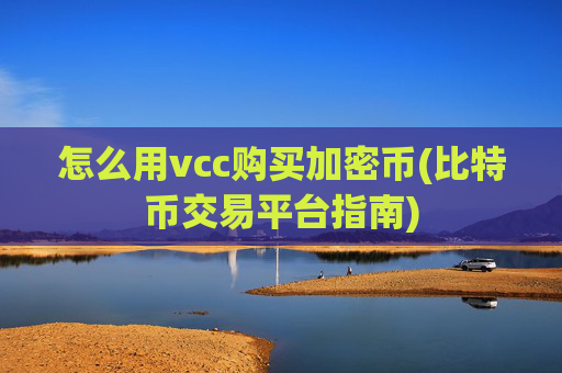 怎么用vcc购买加密币(比特币交易平台指南)
