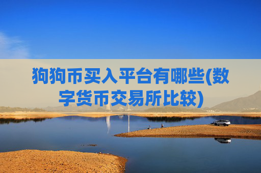 狗狗币买入平台有哪些(数字货币交易所比较)