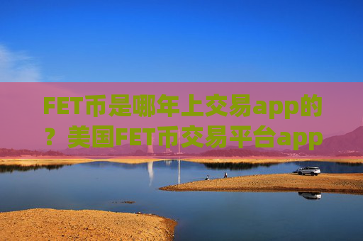 FET币是哪年上交易app的?美国FET币交易平台app最新