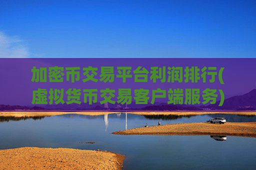加密币交易平台利润排行(虚拟货币交易客户端服务)