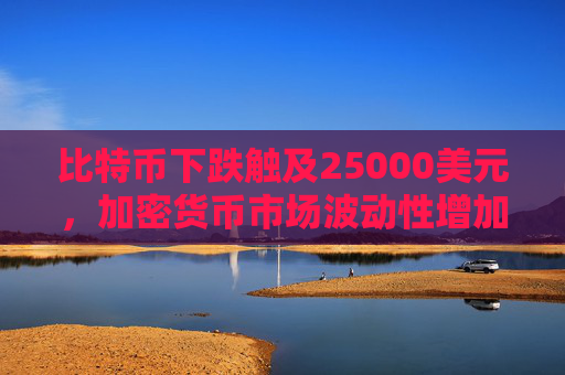 比特币下跌触及25000美元，加密货币市场波动性增加
