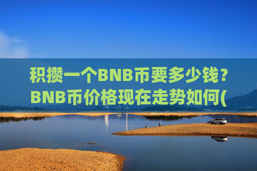 积攒一个BNB币要多少钱？BNB币价格现在走势如何(现价5332元)