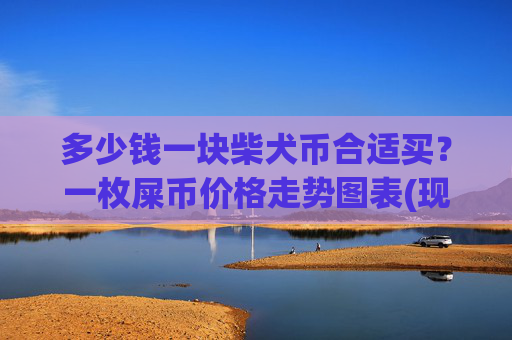 多少钱一块柴犬币合适买？一枚屎币价格走势图表(现价0.00023028元)