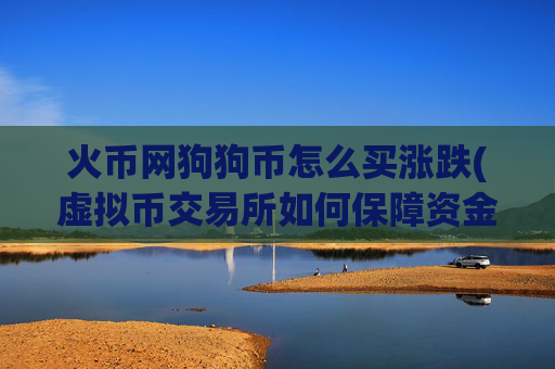 火币网狗狗币怎么买涨跌(虚拟币交易所如何保障资金安全)