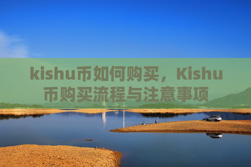 kishu币如何购买，Kishu币购买流程与注意事项