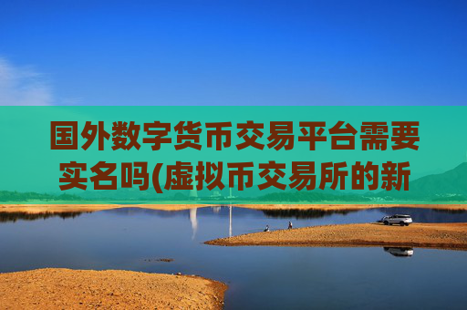 国外数字货币交易平台需要实名吗(虚拟币交易所的新选择)
