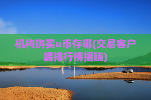 机构购买u币存哪(交易客户端排行榜揭晓)