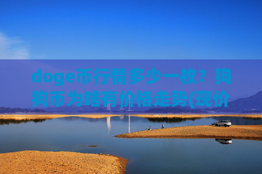 doge币行情多少一枚？狗狗币为啥有价格走势(现价3.2008元)