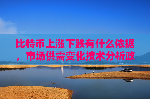 比特币上涨下跌有什么依据，市场供需变化技术分析政策影响