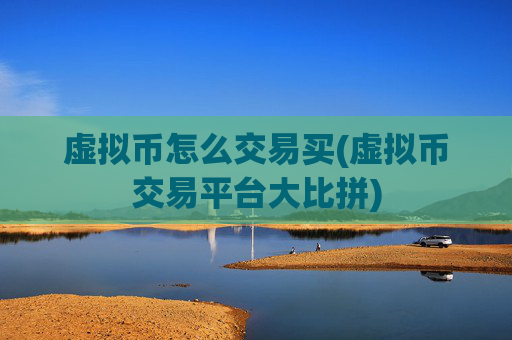 虚拟币怎么交易买(虚拟币交易平台大比拼)