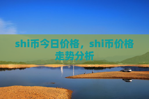 shi币今日价格，shi币价格走势分析
