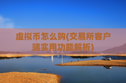 虚拟币怎么购(交易所客户端实用功能解析)