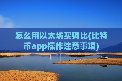 怎么用以太坊买狗比(比特币app操作注意事项)