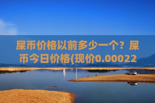 屎币价格以前多少一个?屎币今日价格(现价0.00022663元)