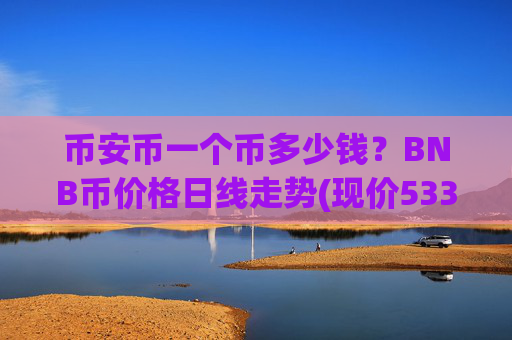币安币一个币多少钱？BNB币价格日线走势(现价5337.3元)