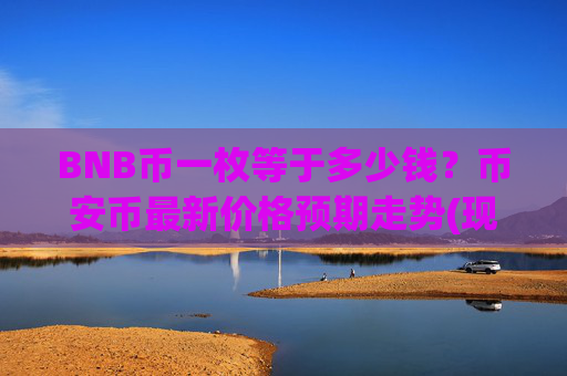 BNB币一枚等于多少钱？币安币最新价格预期走势(现价5358.82元)