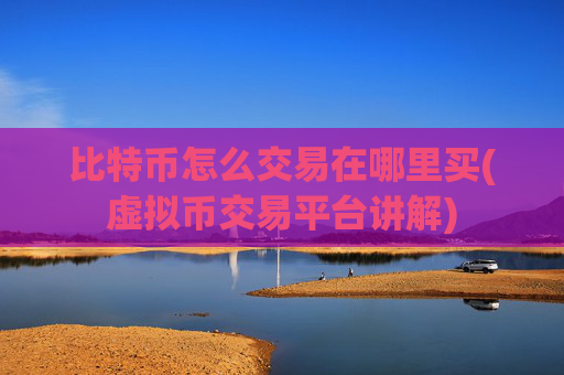 比特币怎么交易在哪里买(虚拟币交易平台讲解)