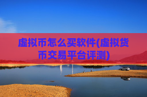 虚拟币怎么买软件(虚拟货币交易平台评测)