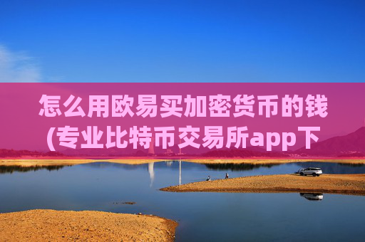 怎么用欧易买加密货币的钱(专业比特币交易所app下载)