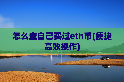 怎么查自己买过eth币(便捷高效操作)