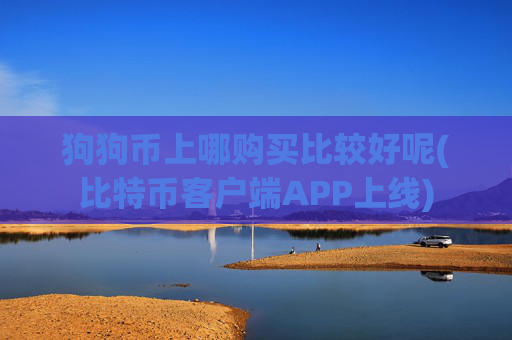 狗狗币上哪购买比较好呢(比特币客户端APP上线)