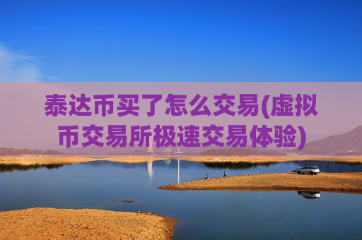 泰达币买了怎么交易(虚拟币交易所极速交易体验)