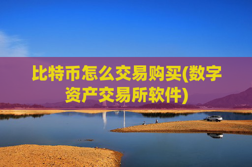 比特币怎么交易购买(数字资产交易所软件)