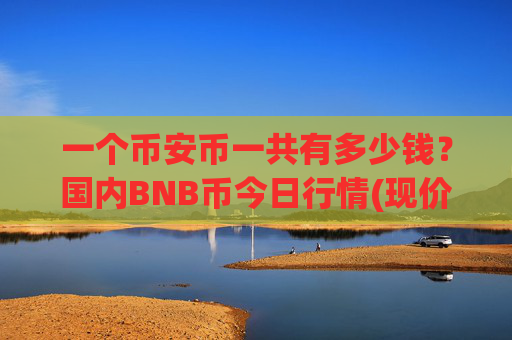 一个币安币一共有多少钱？国内BNB币今日行情(现价5354.1元)