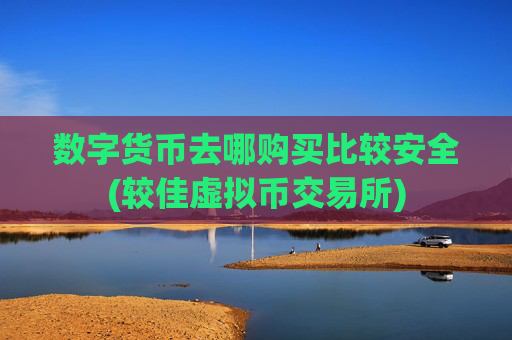 数字货币去哪购买比较安全(较佳虚拟币交易所)