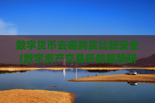 数字货币去哪购买比较安全(数字资产交易所的趋势研究)