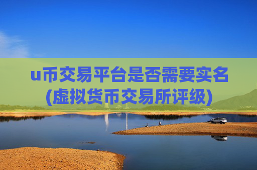 u币交易平台是否需要实名(虚拟货币交易所评级)