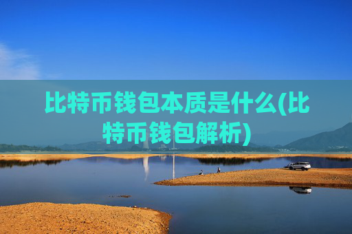比特币钱包本质是什么(比特币钱包解析)