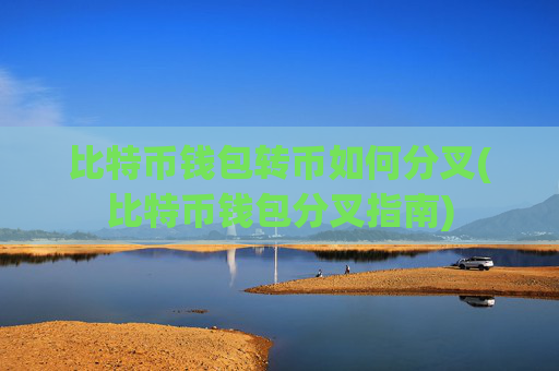 比特币钱包转币如何分叉(比特币钱包分叉指南)