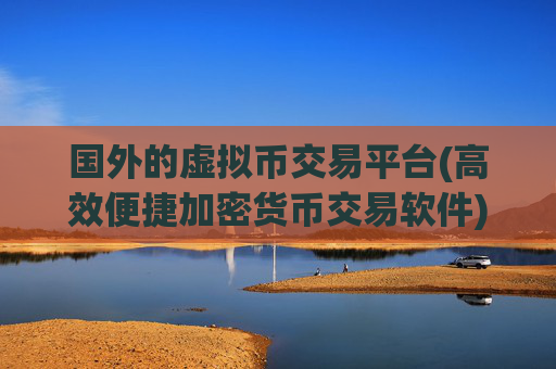 国外的虚拟币交易平台(高效便捷加密货币交易软件)