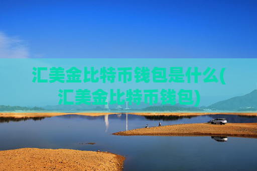 汇美金比特币钱包是什么(汇美金比特币钱包)