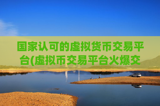 国家认可的虚拟货币交易平台(虚拟币交易平台火爆交易所)