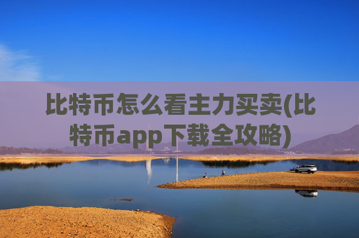 比特币怎么看主力买卖(比特币app下载全攻略)
