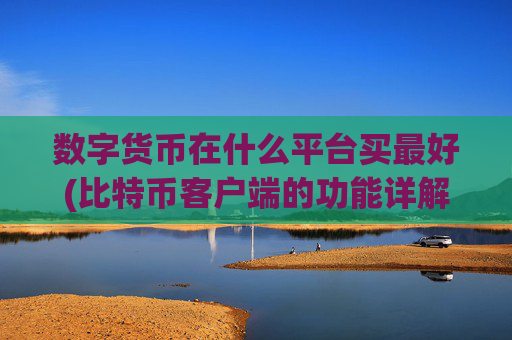 数字货币在什么平台买最好(比特币客户端的功能详解)