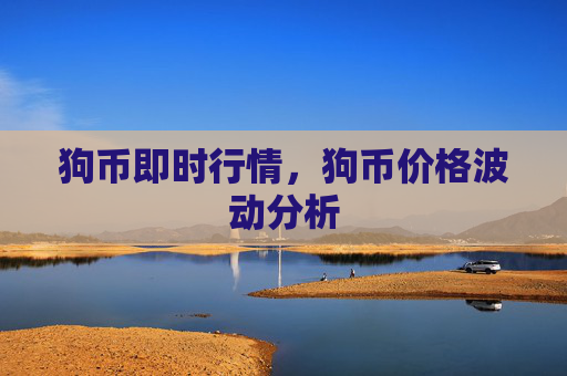 狗币即时行情，狗币价格波动分析