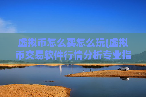 虚拟币怎么买怎么玩(虚拟币交易软件行情分析专业指导)