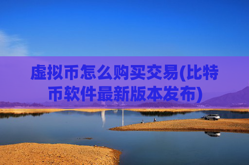 虚拟币怎么购买交易(比特币软件最新版本发布)