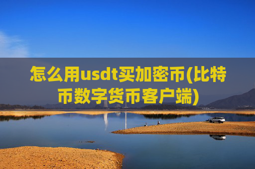 怎么用usdt买加密币(比特币数字货币客户端)