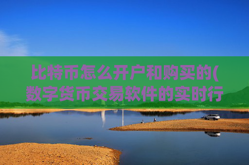比特币怎么开户和购买的(数字货币交易软件的实时行情)