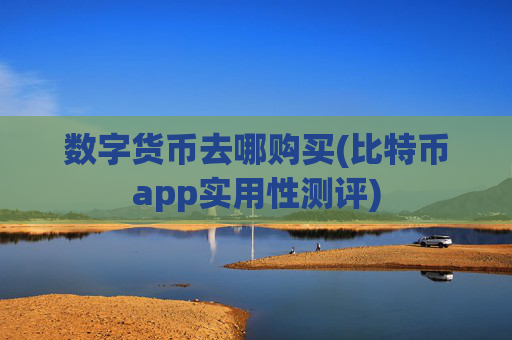 数字货币去哪购买(比特币app实用性测评)