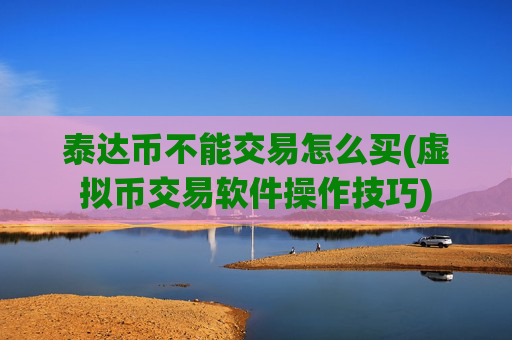 泰达币不能交易怎么买(虚拟币交易软件操作技巧)
