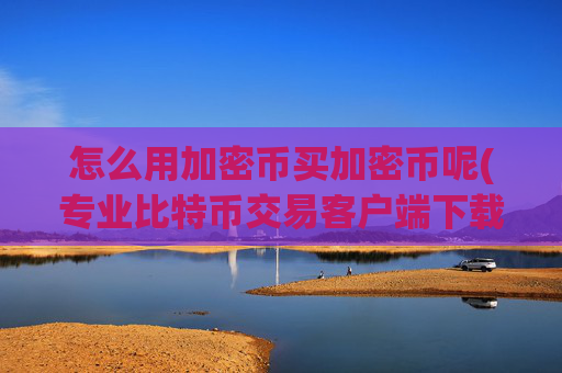 怎么用加密币买加密币呢(专业比特币交易客户端下载)