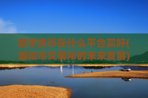 数字货币在什么平台买好(虚拟币交易所的未来发展)