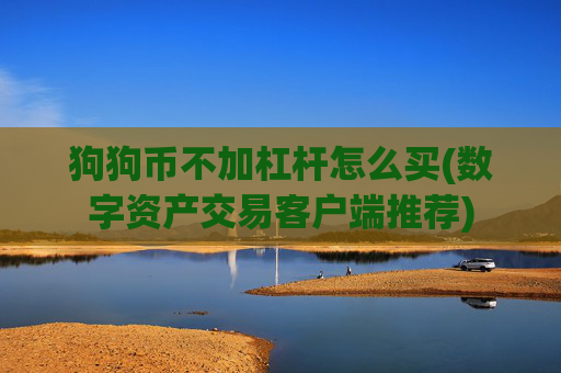 狗狗币不加杠杆怎么买(数字资产交易客户端推荐)