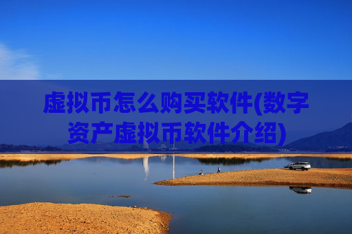 虚拟币怎么购买软件(数字资产虚拟币软件介绍)