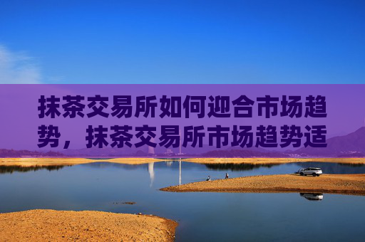 抹茶交易所如何迎合市场趋势,抹茶交易所市场趋势适应策略